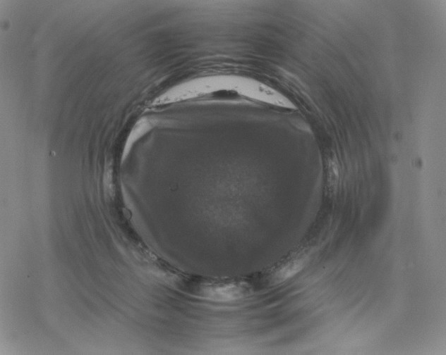 X0000077290267200611171634