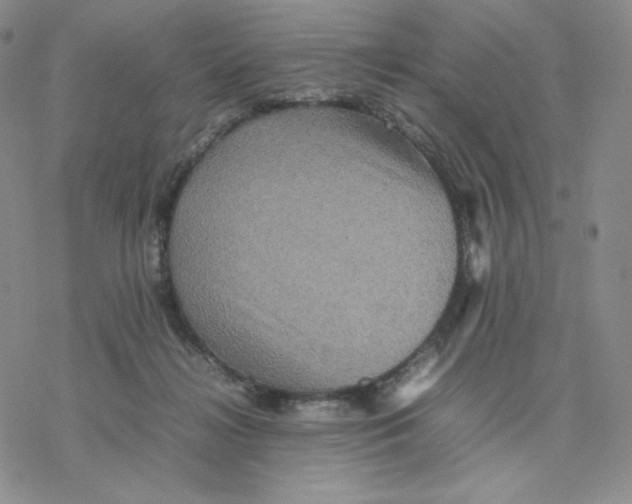 X0000077290268200611171635