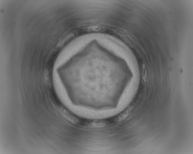 X0000077290270200611171635