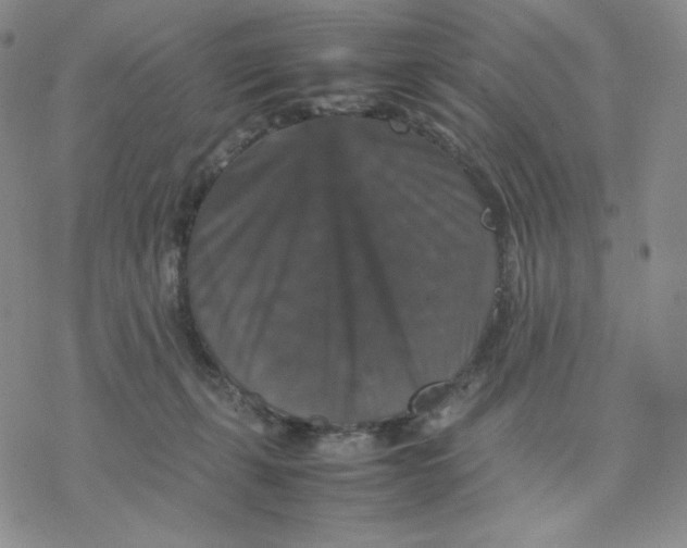 X0000077290271200611171635