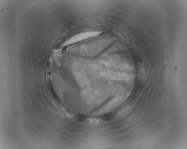 X0000077290272200611171635