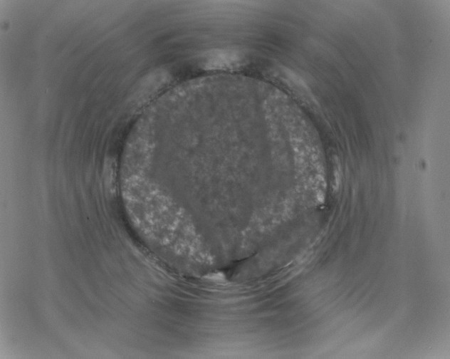 X0000077290273200611171635