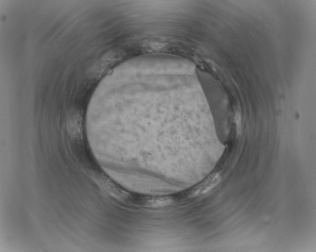 X0000077290274200611171635