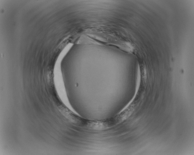 X0000077290276200611171635