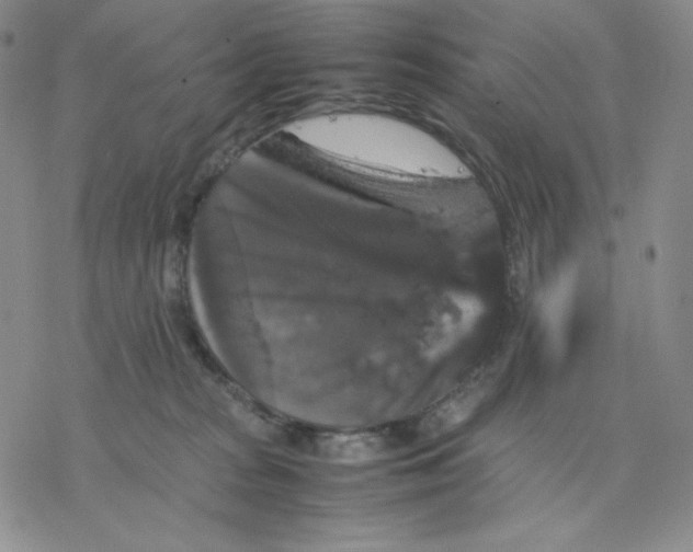 X0000077290277200611171635