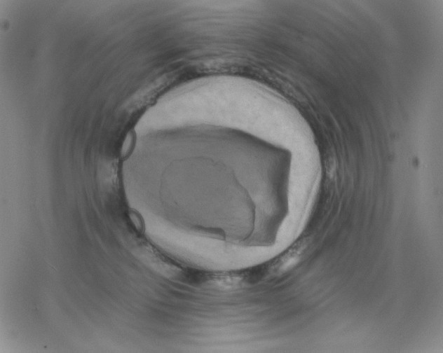 X0000077290278200611171635