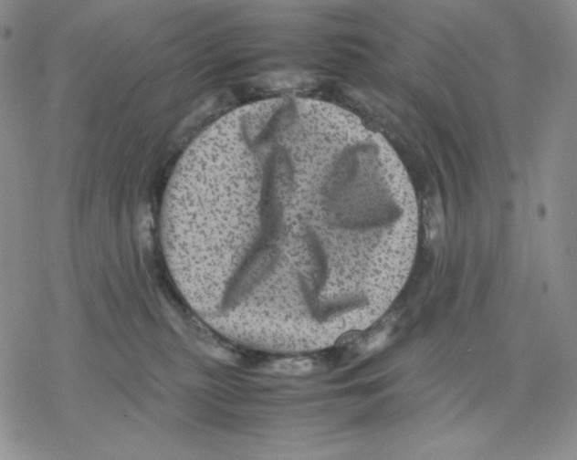 X0000077290279200611171635