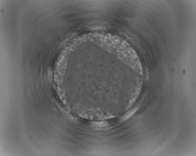 X0000077290281200611171635