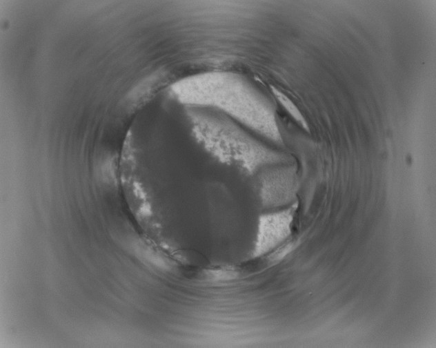 X0000077290286200611171635