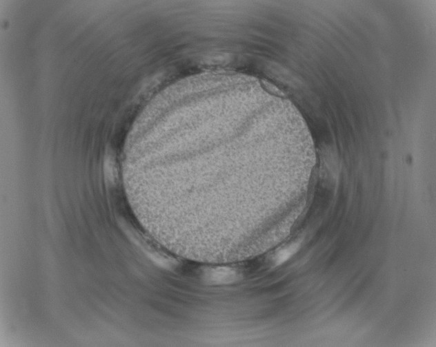 X0000077290287200611171635