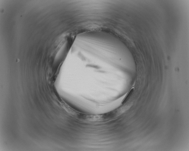 X0000077290288200611171635