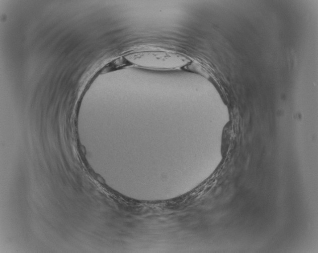 X0000077290289200611171634