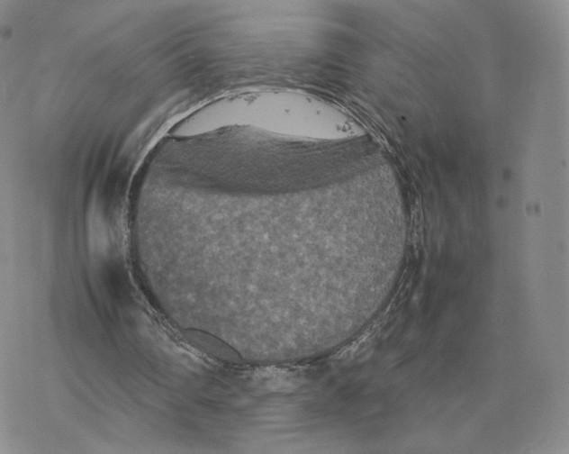 X0000077290290200611171634