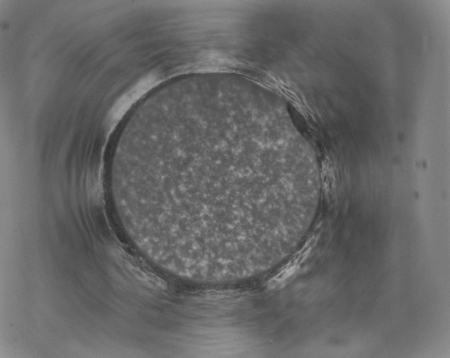 X0000077290292200611171634