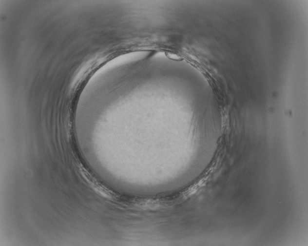 X0000077290293200611171634