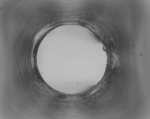 X0000077290294200611171634