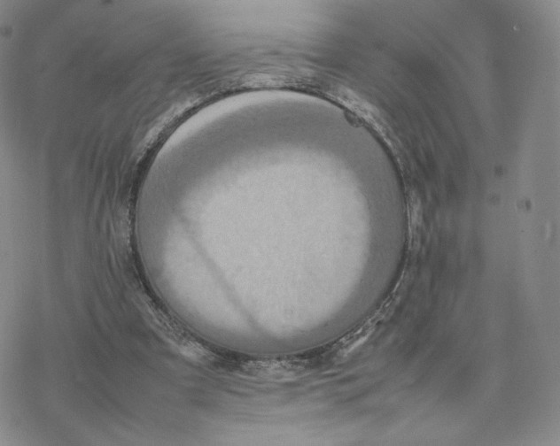 X0000077290297200611171634