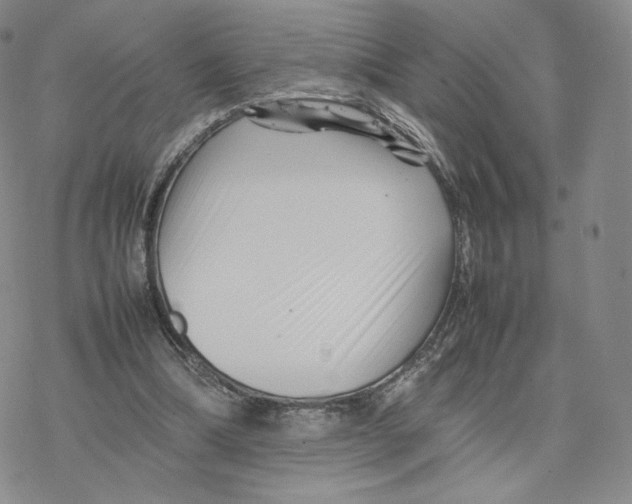 X0000077290298200611171634