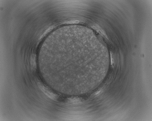 X0000077290300200611171634