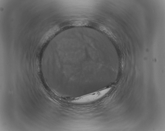 X0000077290303200611171634