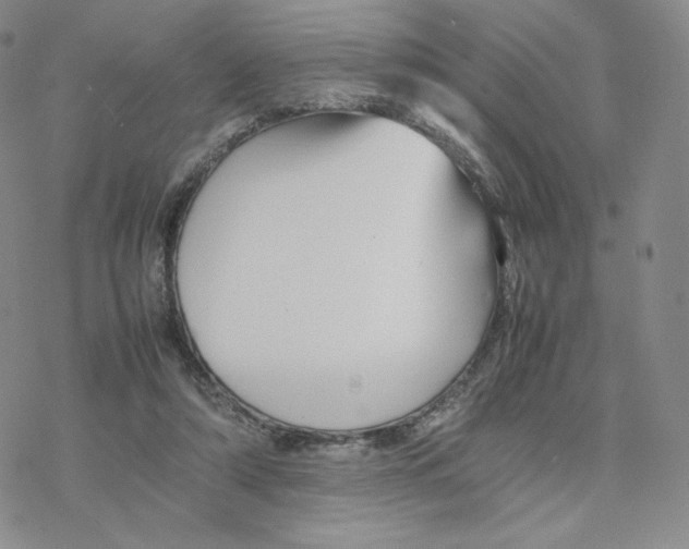 X0000077290306200611171634