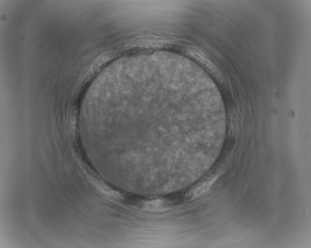 X0000077290309200611171634