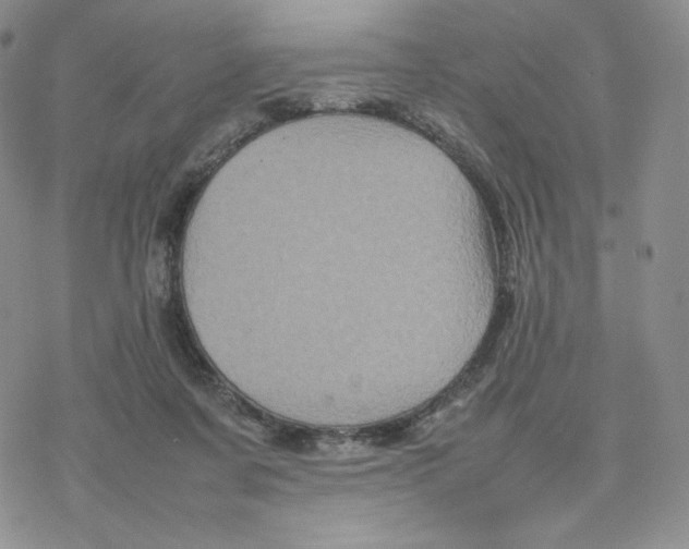 X0000077290311200611171634