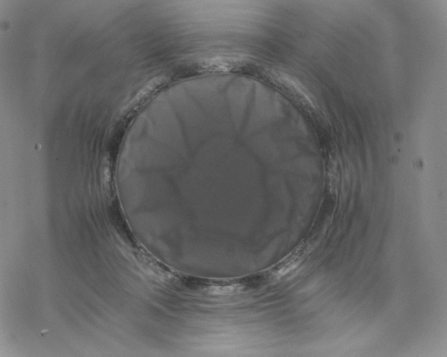 X0000077290314200611171634