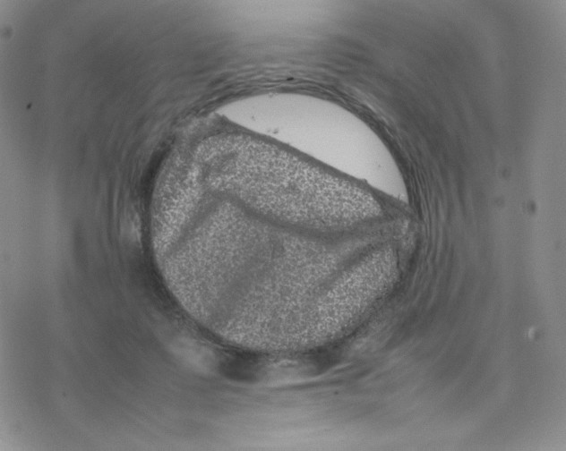 X0000077290315200611171634