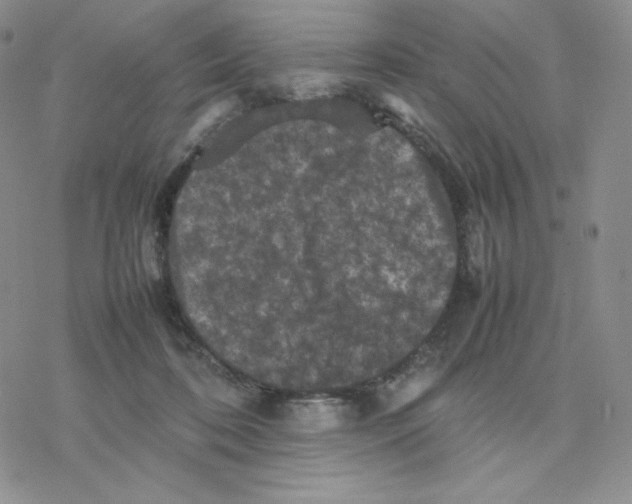 X0000077290316200611171634