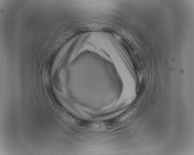 X0000077290317200611171634