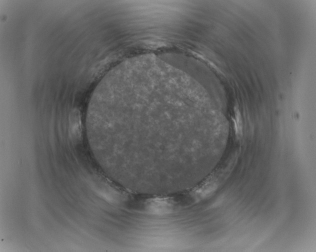 X0000077290320200611171634