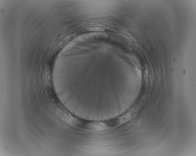 X0000077290322200611171634