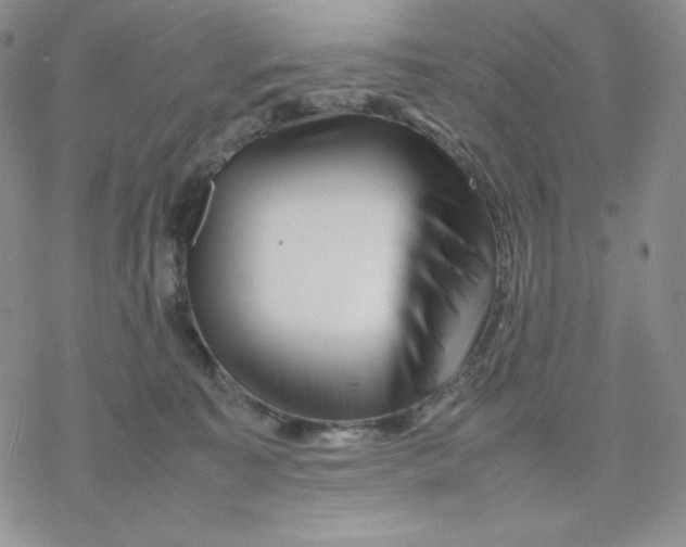 X0000077290323200611171634