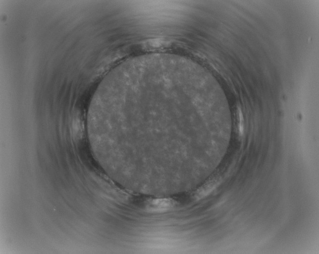 X0000077290324200611171633