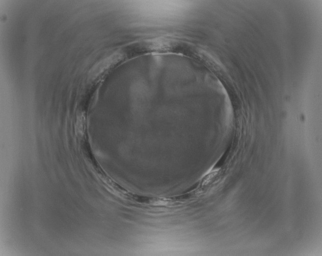 X0000077290325200611171633