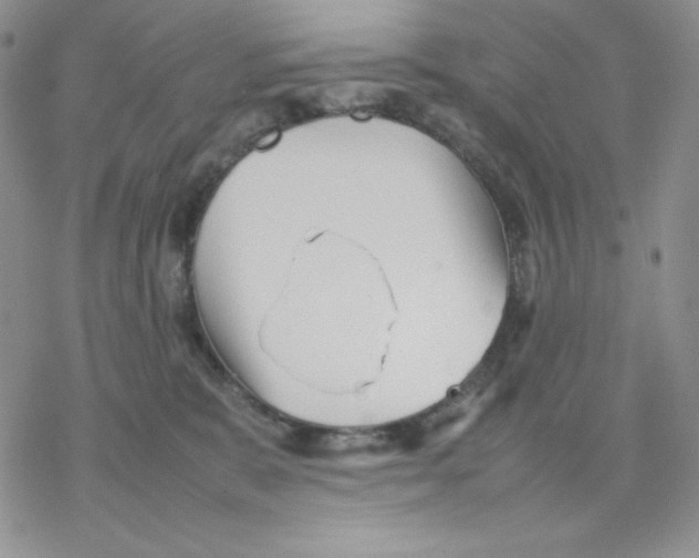 X0000077290327200611171633