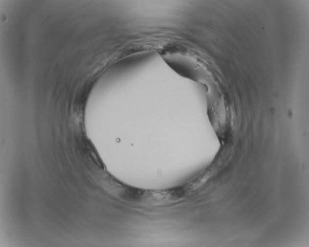 X0000077290329200611171633