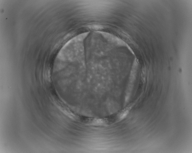 X0000077290330200611171633