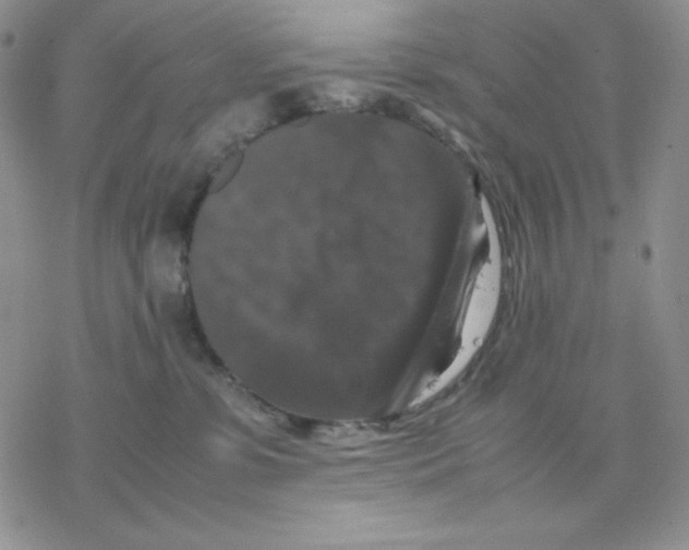 X0000077290331200611171633