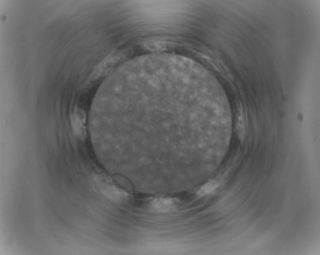 X0000077290332200611171633