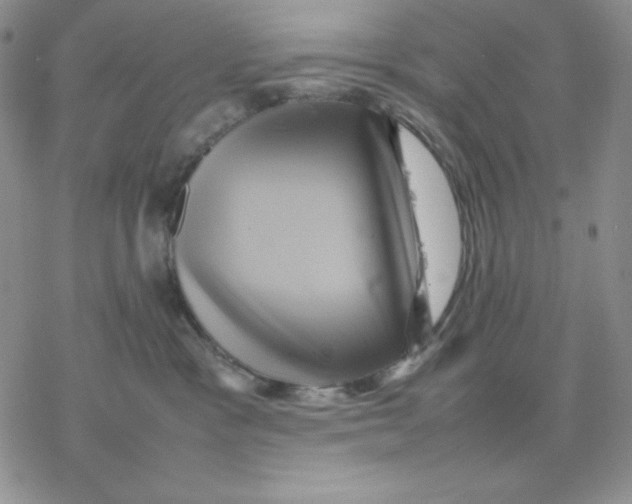 X0000077290333200611171633