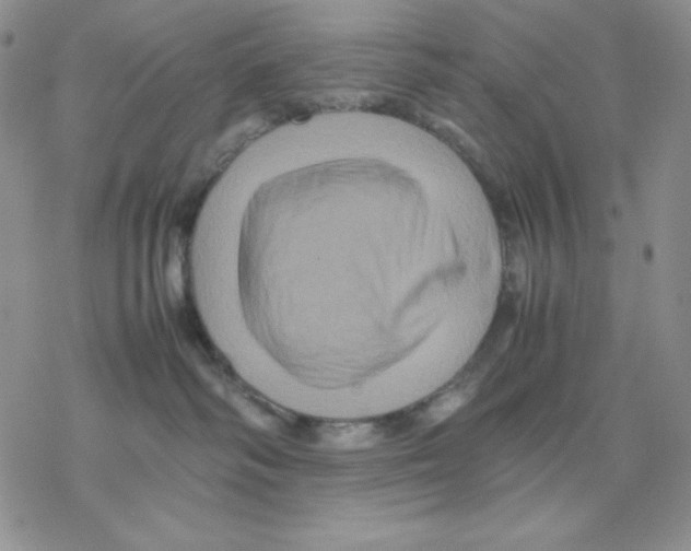 X0000077290334200611171633