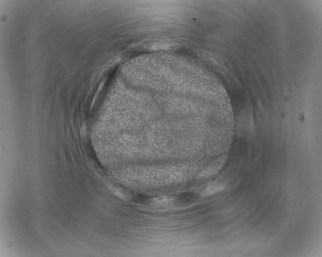 X0000077290335200611171633