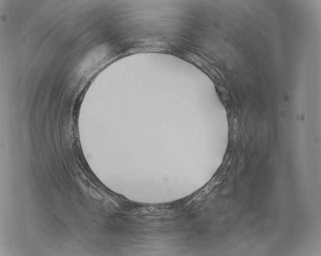 X0000077290338200611171633