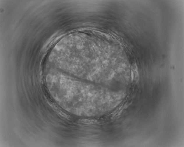 X0000077290339200611171633