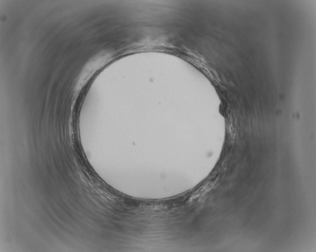 X0000077290340200611171633