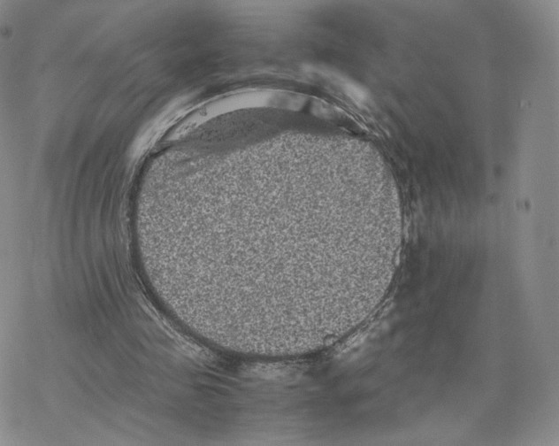 X0000077290341200611171633