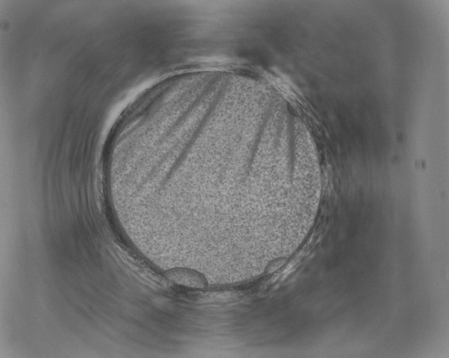 X0000077290342200611171633