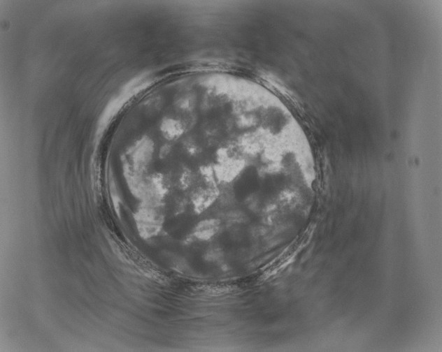 X0000077290343200611171633